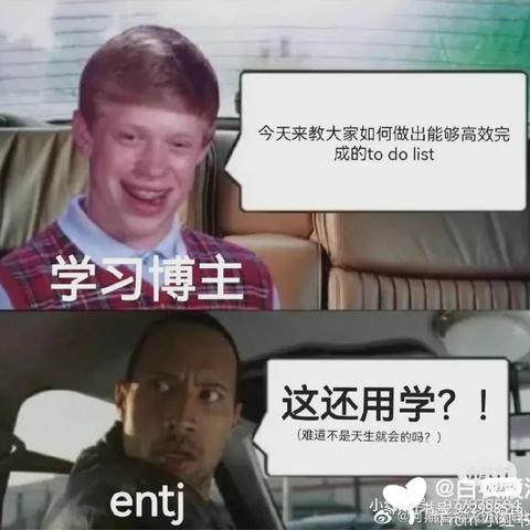 拉布拉多_于2023-05-30 10:25发布的图片