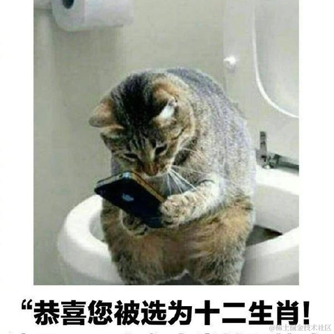 从一到无穷于2023-08-22 09:45发布的图片