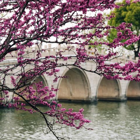 优秀稳妥的金枪小魔王于2023-03-27 10:41发布的图片