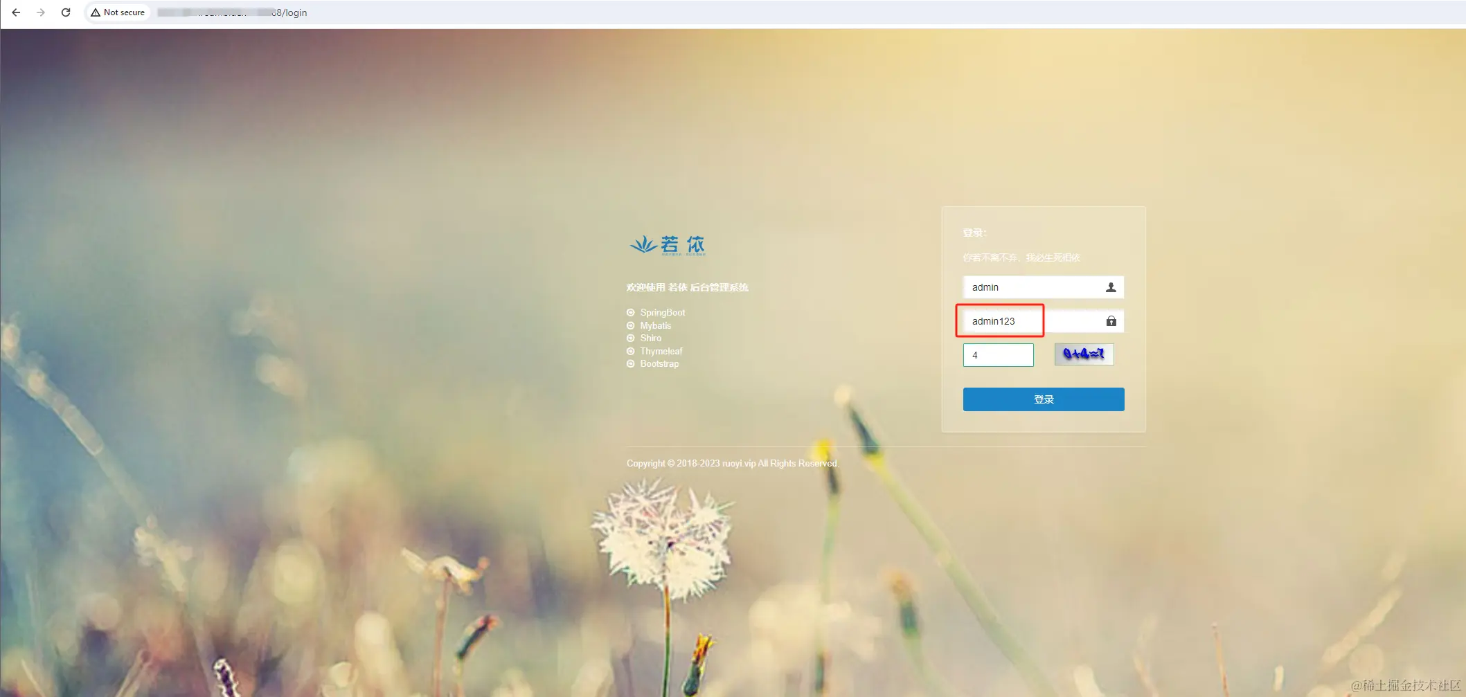 image-20240411130206602