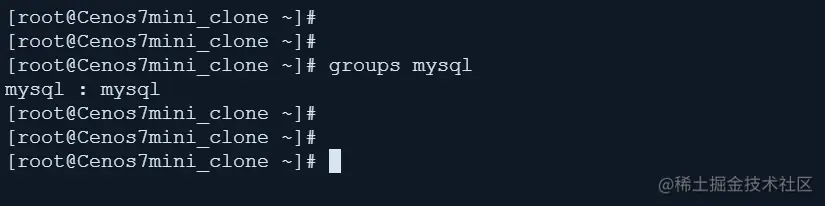 image-20230403215532492