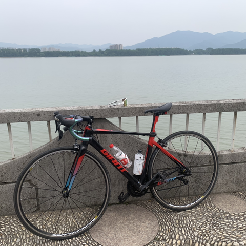 阿尼亞于2023-05-15 07:59发布的图片