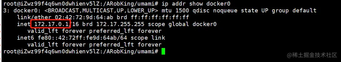 image-20230620013356061