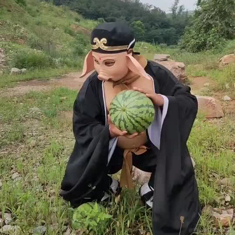 月球背面于2023-06-05 10:46发布的图片