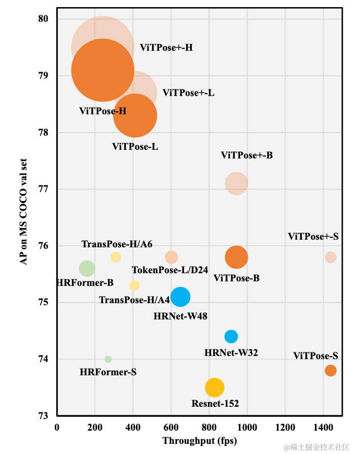 ViTPose+：迈向通用身体姿态估计的视觉Transformer基础模型