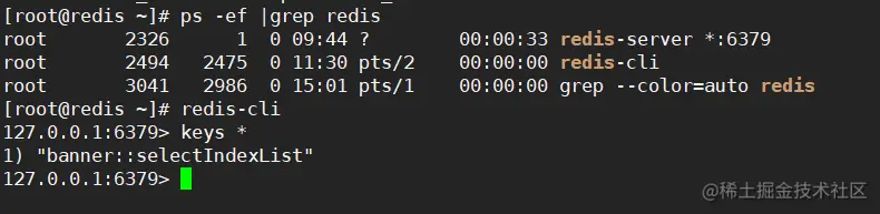 image-20220511201420247