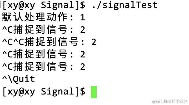 image-20230401230124731