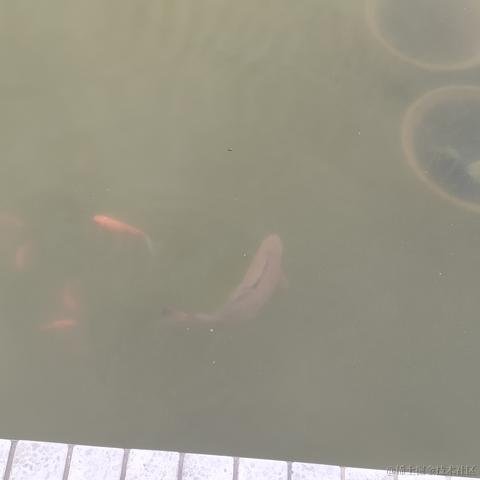 zhL于2022-11-26 22:05发布的图片