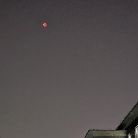 琳子加碗饭于2022-11-18 00:30发布的图片