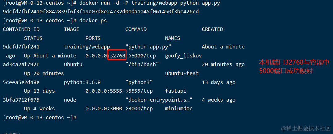image-20210106123004831