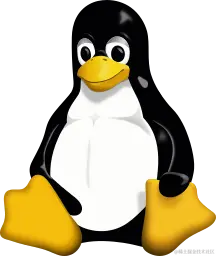 netlinux