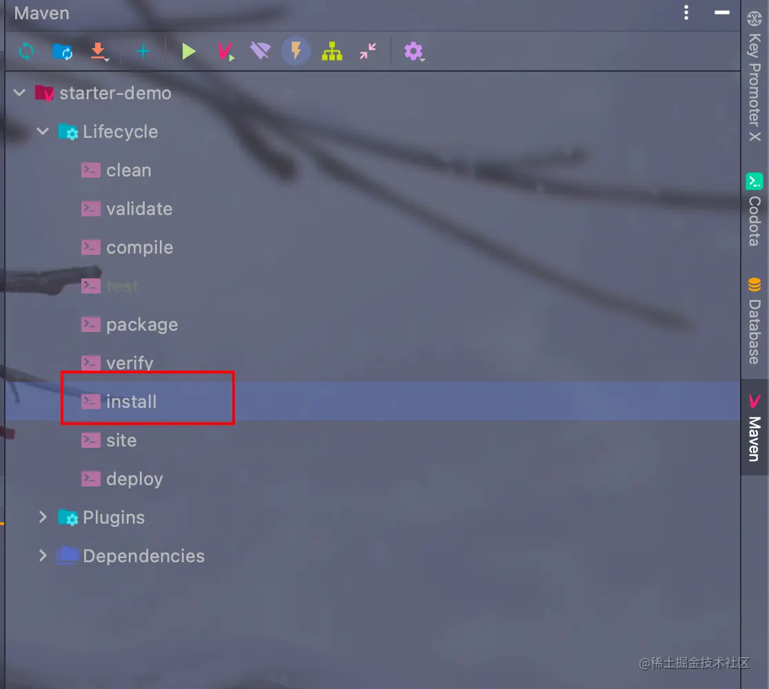 image-20210810160609905