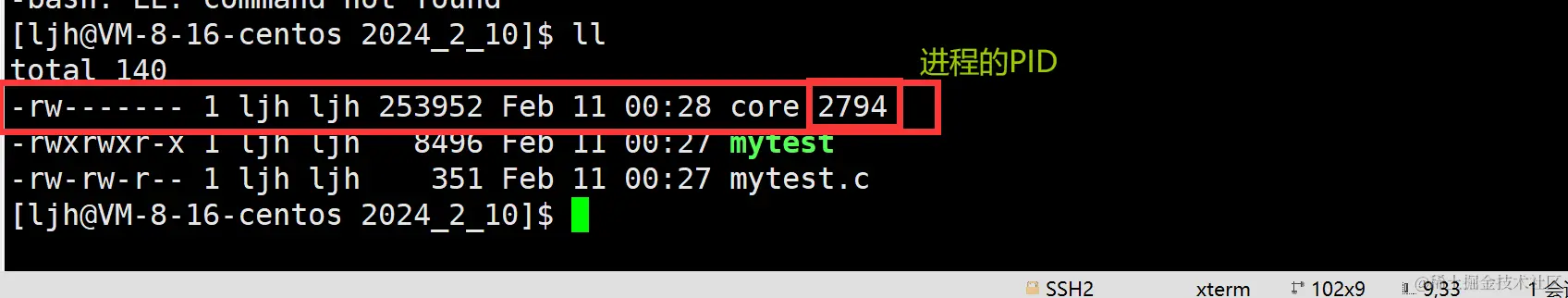 image-20240211003052413