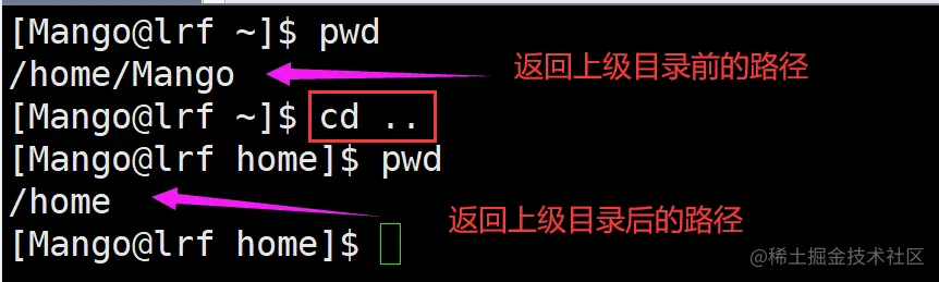 image-20220226220444525