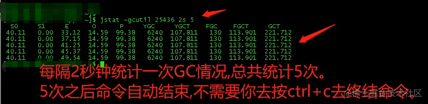 jstat -gcutil 25436 2s 5