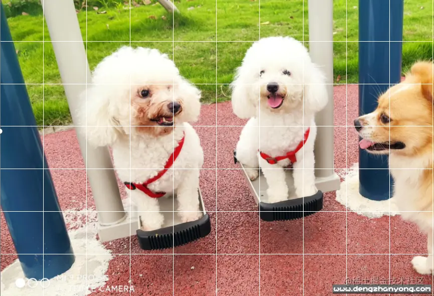 image-20211022170644727