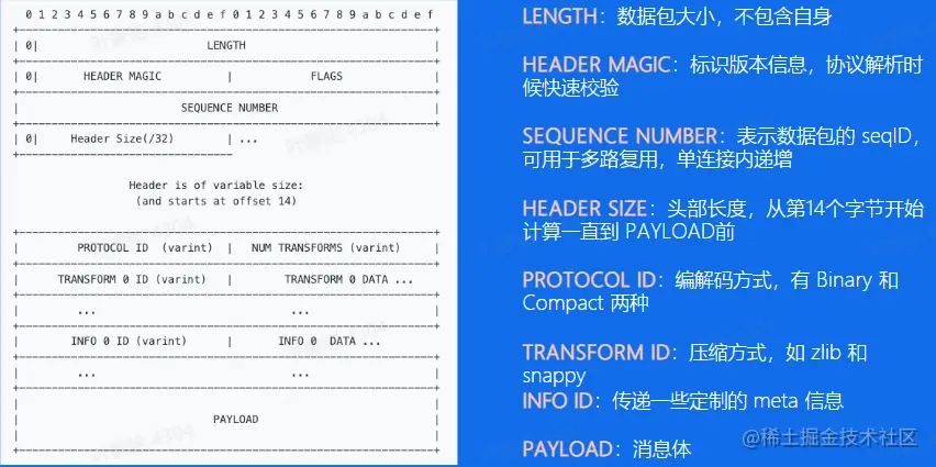 image-20230217194819495