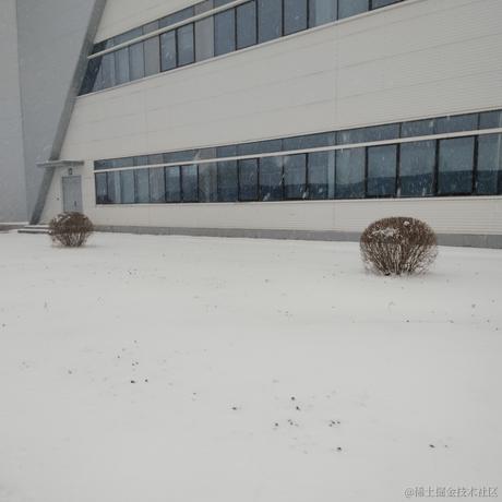 西风断冷月残于2022-11-12 09:37发布的图片