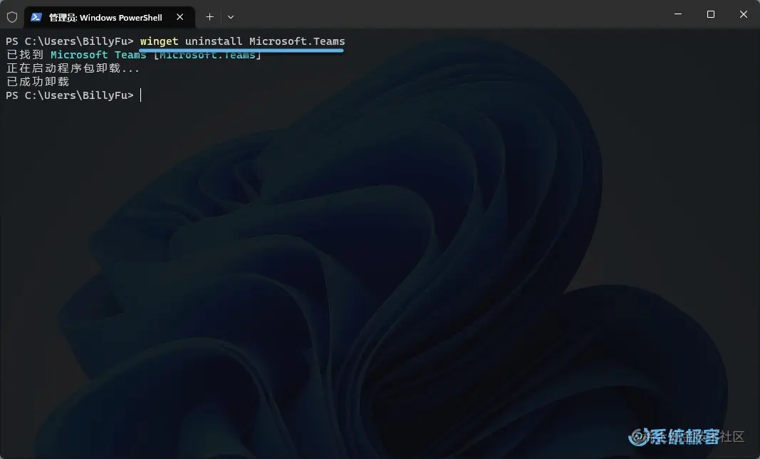 使用 winget 卸载应用程序