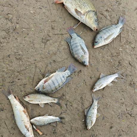 Uz于2024-05-27 08:22发布的图片