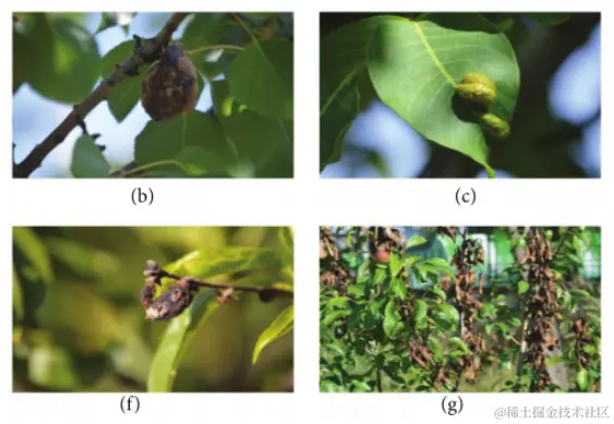 image-20231121231935668