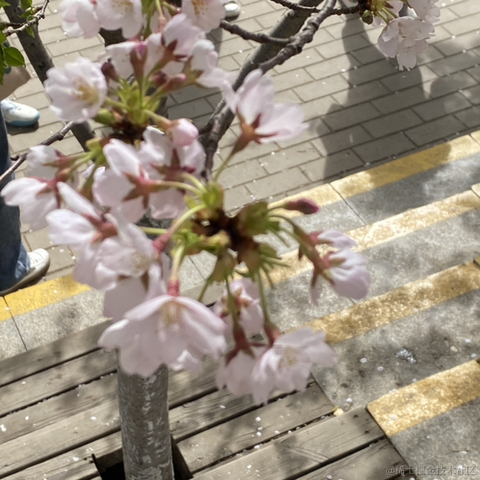 颜咚咚于2022-04-08 11:13发布的图片