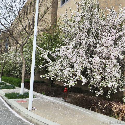 野味道峩少男于2023-04-07 23:59发布的图片