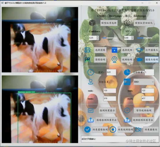 基于YOLOv5模型的120类狗狗检测识别系统V1.02921.png