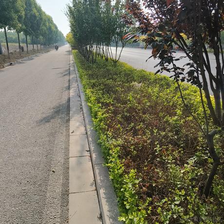 bthh于2023-05-16 07:54发布的图片