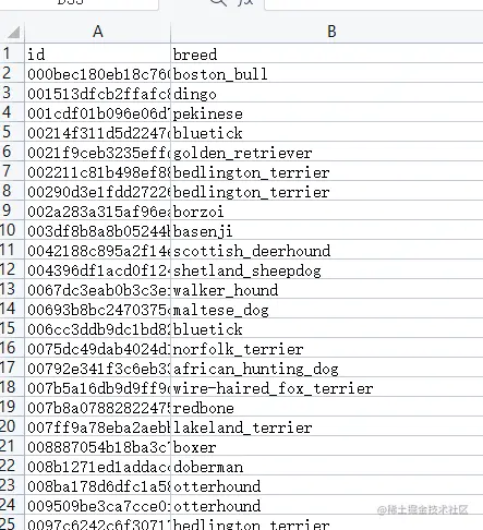 image-20220731104313772