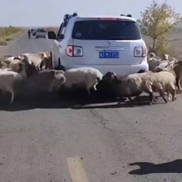 共饮一杯无于2022-12-20 10:05发布的图片