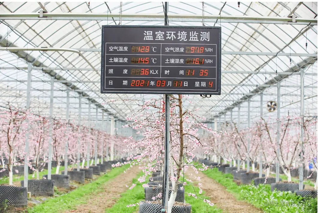 image-20230426105155237