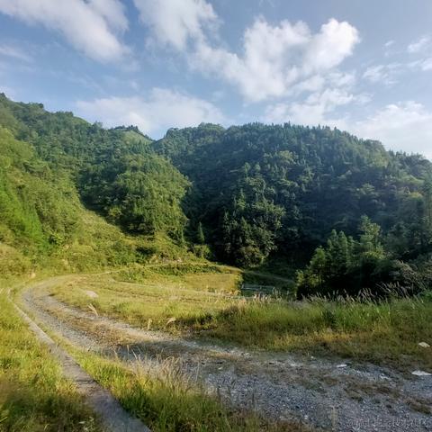 热爱学习的欧尼酱于2021-10-04 17:12发布的图片