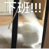 瓜瓜瓜鸟于2022-06-10 17:30发布的图片