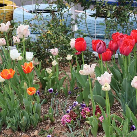 无糖气泡水于2023-03-15 07:53发布的图片