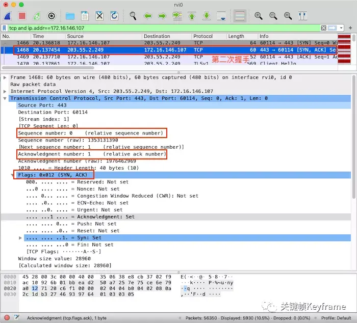 Wireshark
