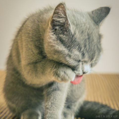 月球背面于2023-05-14 14:45发布的图片