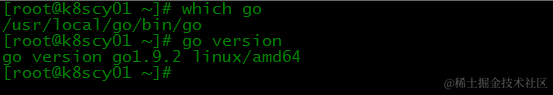 go版本