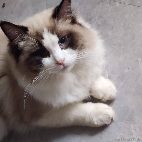 First于2023-05-25 09:10发布的图片