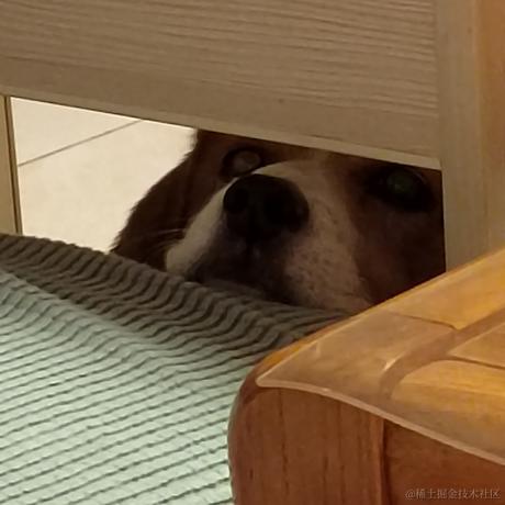 锅里没有水母于2022-12-20 16:37发布的图片