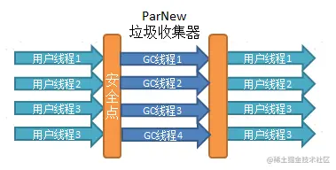ParNew垃圾收集器