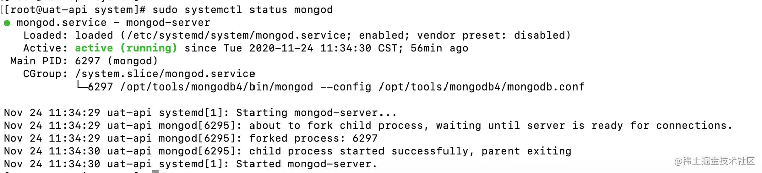 image-20201124123122694