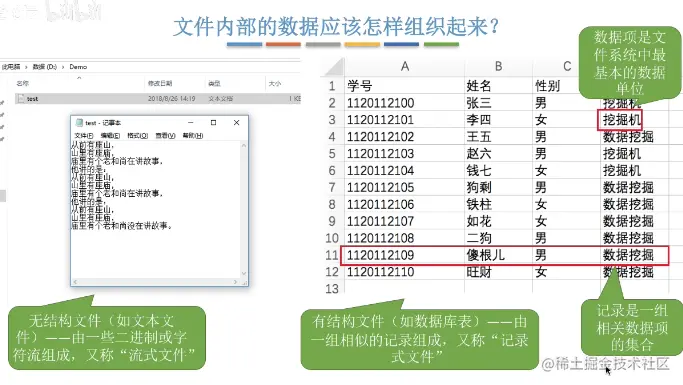 image-20220106133928490