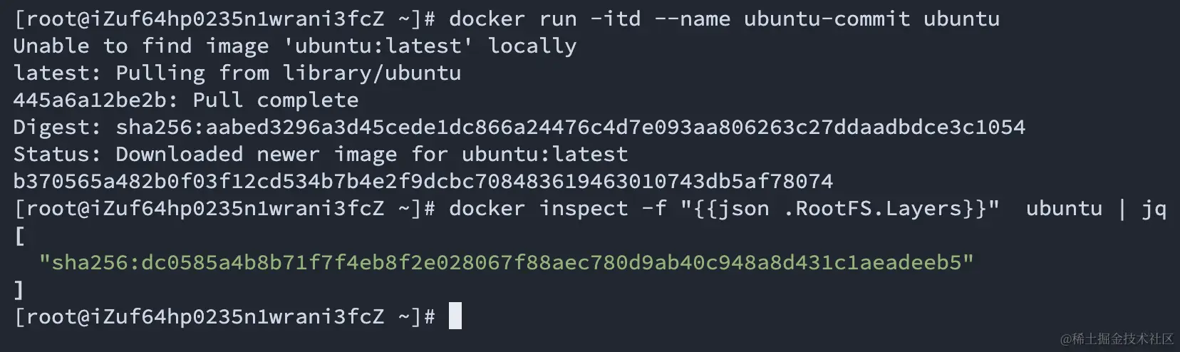 image-20230905121132394