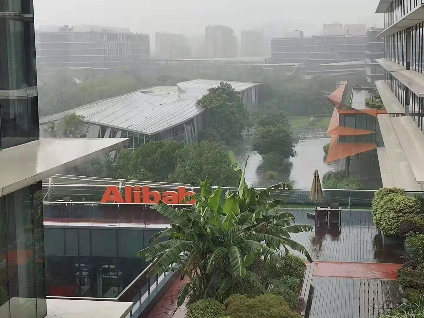 雨中的阿里