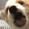 偷偷偷偷偷偷偷偷偷偷偷偷偷偷偷偷偷偷偷偷于2023-03-10 11:24发布的图片
