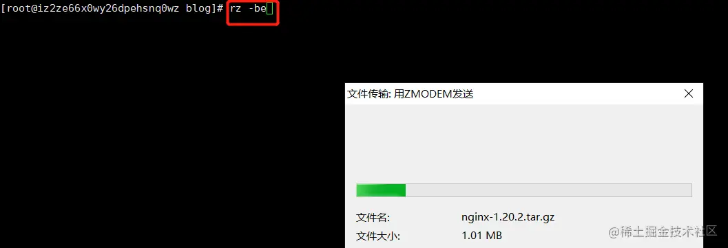 image-20220210220800499