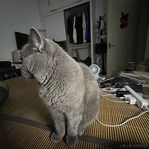 bellaQAQ于2023-06-29 09:58发布的图片