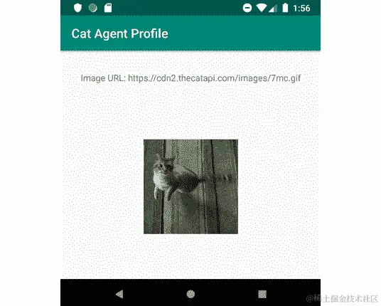 图 5.4：服务器响应图像 URL 与实际图像