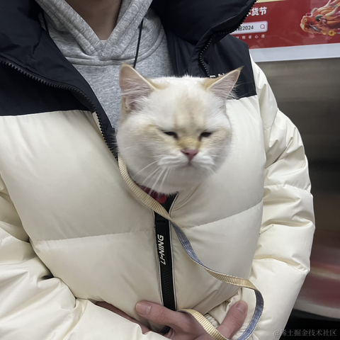 我不是KFC于2024-02-09 23:50发布的图片